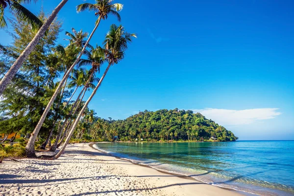 Spiaggia tropicale esotica. — Foto Stock