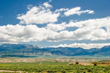 utah state manzarası. ABD 