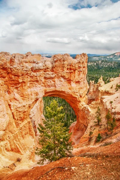 Visa ur synvinkel av bryce canyon. Utah. USA — Stockfoto