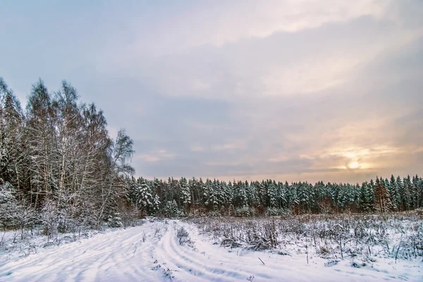 Zachód słońca w zimie pole — Zdjęcie stockowe