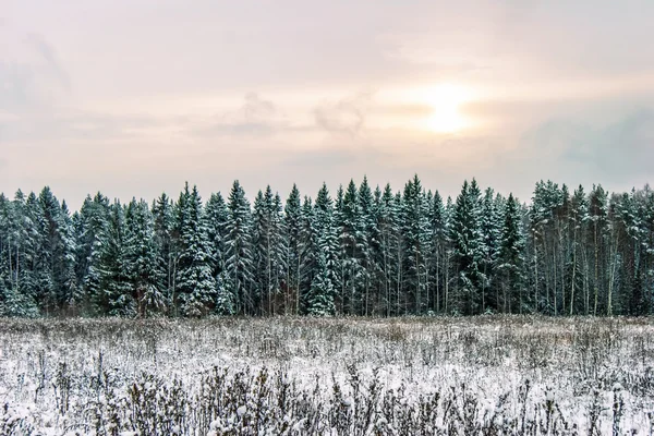 Coucher de soleil dans le champ d'hiver — Photo