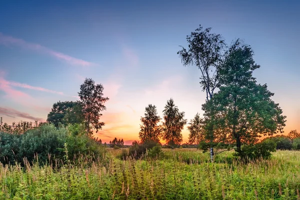 Naplemente a nyári mező — Stock Fotó