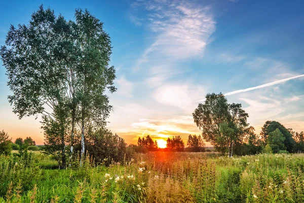 Pôr do sol no campo de verão — Fotografia de Stock