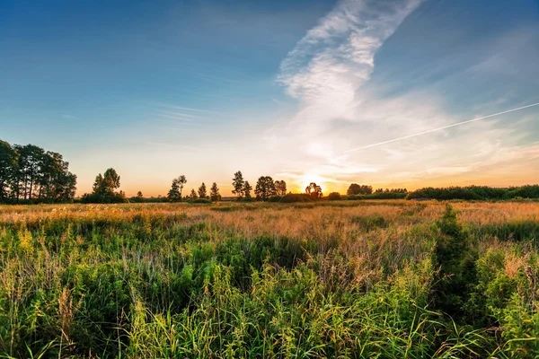 Zonsondergang in de zomer veld — Stockfoto