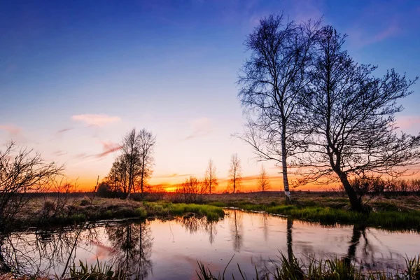 Campo de pôr do sol — Fotografia de Stock