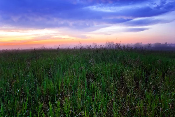 Pôr do sol nebuloso no campo de verão — Fotografia de Stock