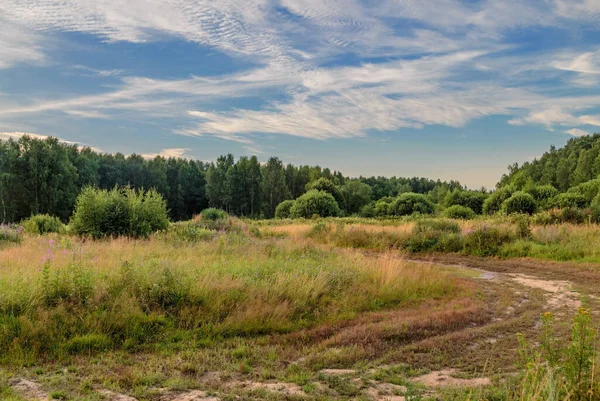 Pfad Einem Sommerfeld Bei Sonnenuntergang Hintergrund Natur — Stockfoto