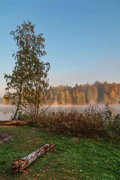 Piękny Jesienny Jesienny Krajobraz Nad Mglistym Jeziorem — Zdjęcie stockowe