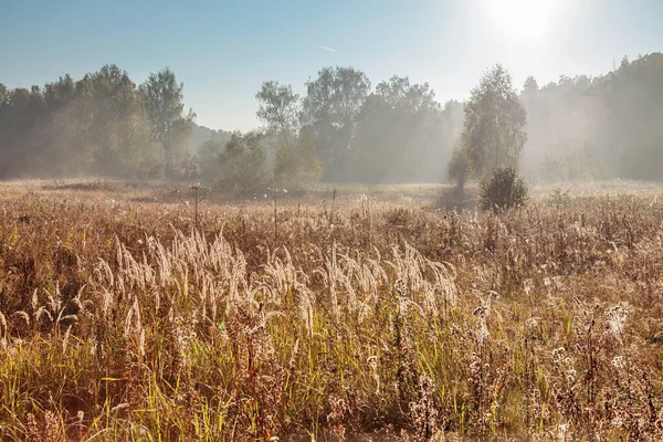 Jesienny Krajobraz Mgłą Wschodem Słońca Kontekst Natury — Zdjęcie stockowe