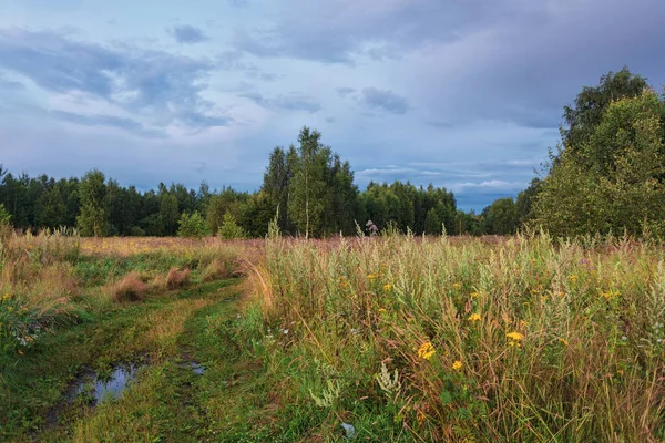 Vägen Ett Sommarfält Solnedgångstid Naturbakgrund — Stockfoto