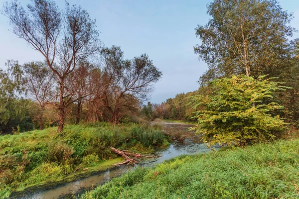 Rio Outonal Perto Floresta Clima Sombrio — Fotografia de Stock
