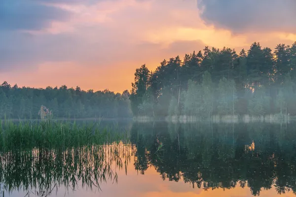 Pôr Sol Perto Lago Verão Floresta Natureza Fundo — Fotografia de Stock