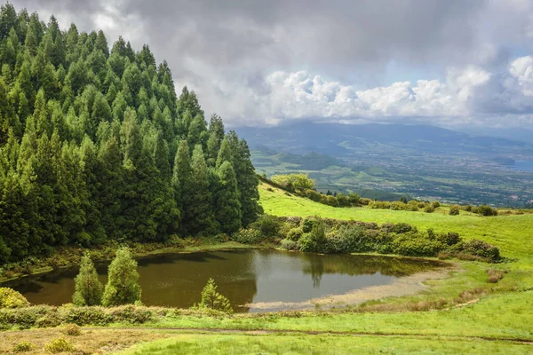 全景俯瞰葡萄牙亚速尔圣米格尔岛的高山 海草花的前景 — 图库照片