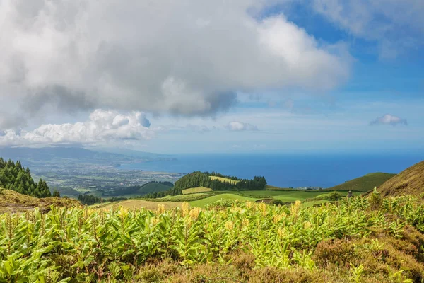 Vista Panorámica Montañas Valles Costa Isla Sao Miguel Azores Portugal — Foto de Stock