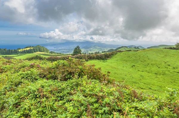 Landscape Green Hilly Valley Sao Miguel Island Azores Portugal — Stock Photo, Image