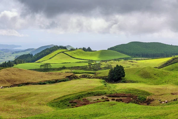 Landscape Green Hilly Valley Sao Miguel Island Azores Portugal — Stock Photo, Image