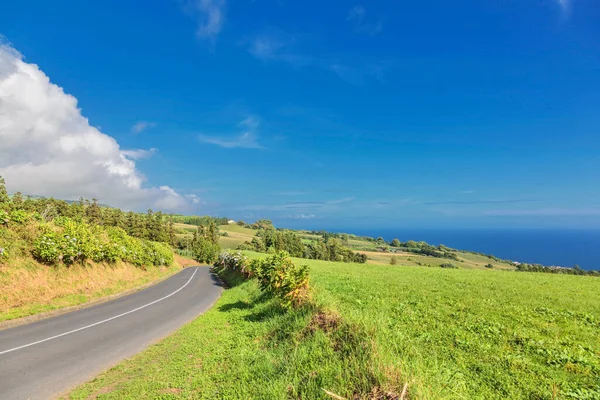 Droga Prowadzi Przez Zielone Wzgórza Krajobraz Wyspie Sao Miguel Azory — Zdjęcie stockowe