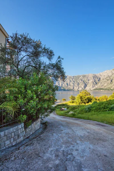 Schöne Aussicht Auf Die Berge Und Das Meer Kotor Montenegro — Stockfoto