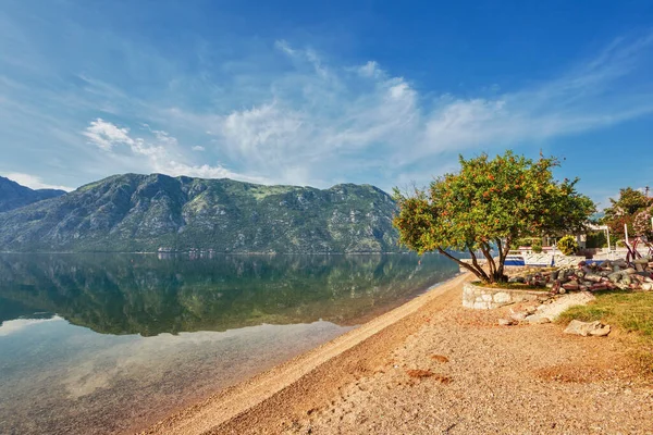 Morgens Kleiner Kieselstrand Bucht Von Kotor Montenegro — Stockfoto