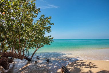 Koh Chang adasındaki beyaz kumsal. Tayland.