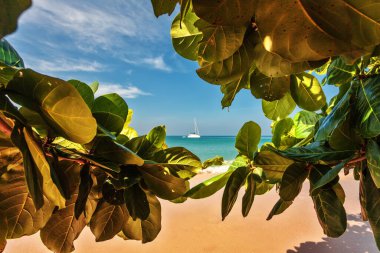 Koh Chang adasındaki beyaz kumsal. Tayland.