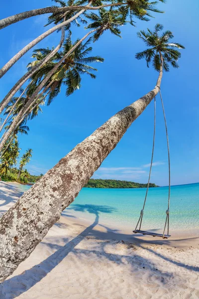 Ξύλινη Κούνια Κρεμασμένη Από Έναν Φοίνικα Στην Παραλία Νησί Koh — Φωτογραφία Αρχείου