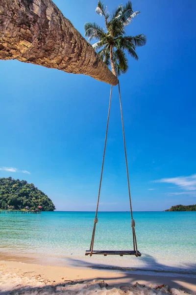 Деревянные Качели Свисающие Пальмы Пляже Остров Куд Таиланд — стоковое фото