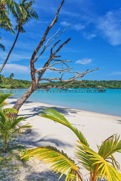 Tropické Mořské Pobřeží Pláže Bang Bao Koh Kood Island Trat — Stock fotografie