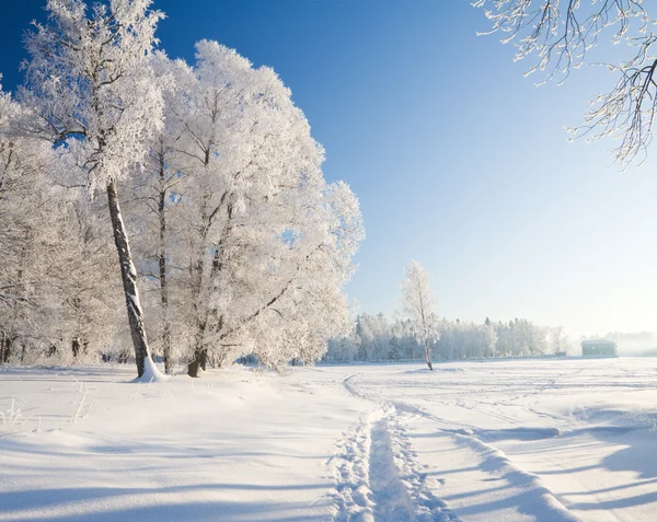 눈 속의 겨울 공원 — 스톡 사진