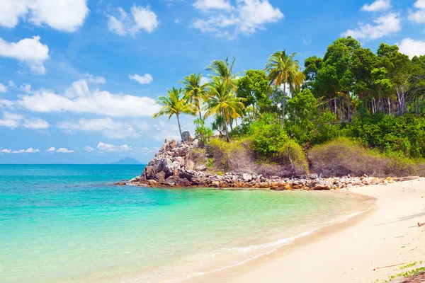 Tropikalna wyspa z plaży i drzew — Zdjęcie stockowe