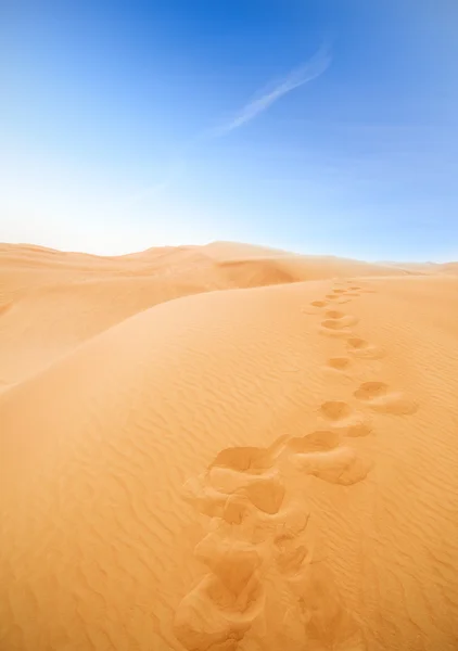 Pegadas no deserto — Fotografia de Stock