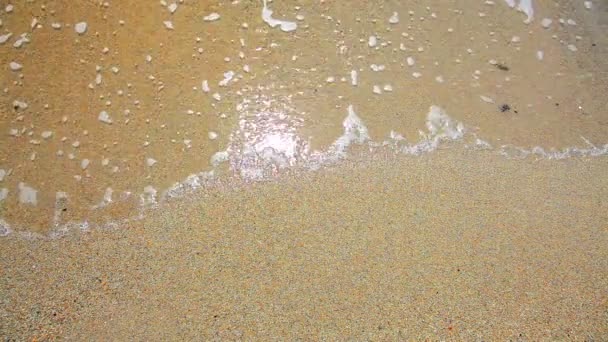 Playa de arena y olas — Vídeo de stock