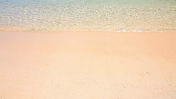 Vague et plage de sable — Video