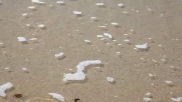 波と砂のビーチ — ストック動画