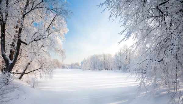 Parque Inverno Coberto Neve — Fotografia de Stock