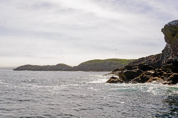 Sea shore — Stock Photo, Image