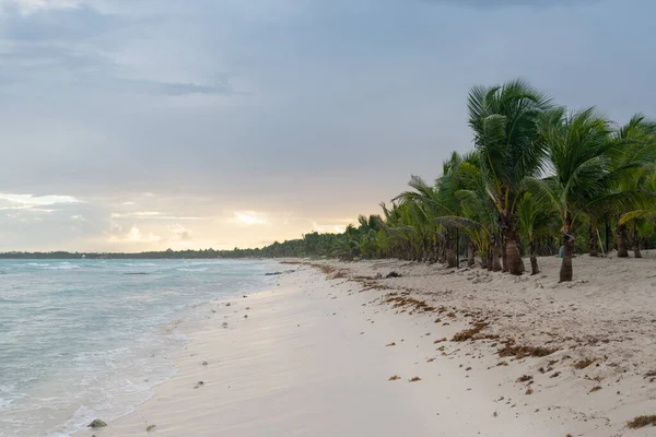 Mexicaanse Kust Een Zomerdag Stockfoto