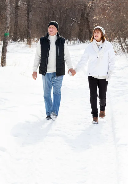 Heureux couple d'aînés marchant dans le parc d'hiver — Photo