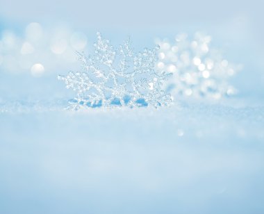 Snowflakes on snow