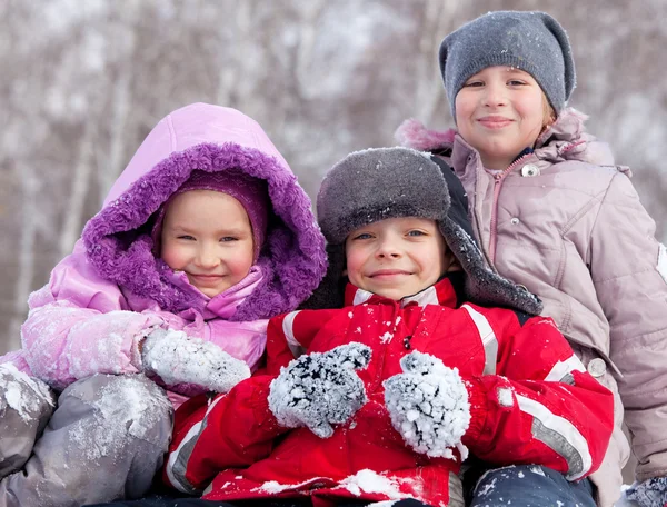 快乐的孩子在冬季公园 — 图库照片