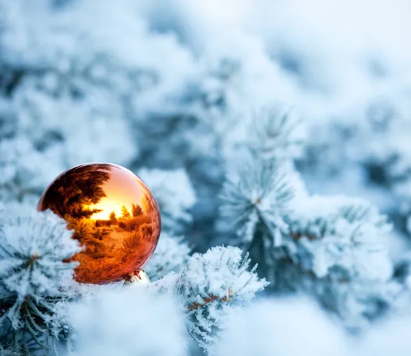 Boule de Noël sur sapin de Noël — Photo