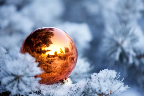 Fond de Noël. Boule de Noël sur arbre — Photo