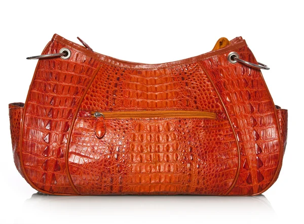 Handbag in crocodile leather — Stock Photo, Image