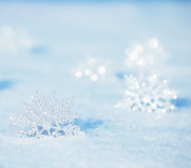 Snowflakes on snow