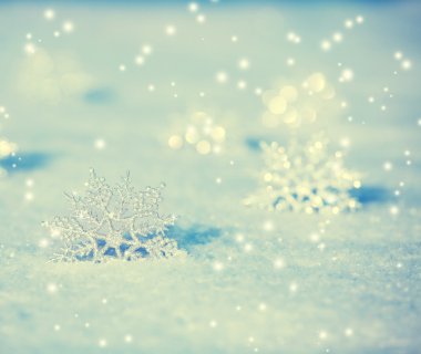 Snowflakes on snow
