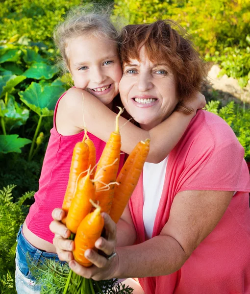 Vrouw groeit oogst in de tuin — Stockfoto