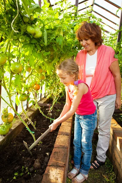 Woman with child grows harvest in the greenhouse — Stock Photo, Image
