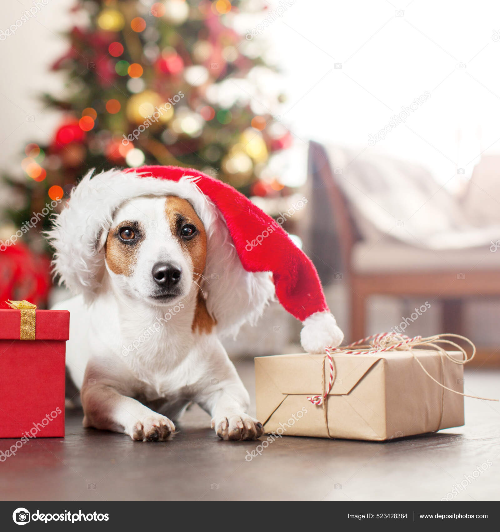 Dog Christmas Tree Pet Home Happy New Year Merry Christmas — Stock