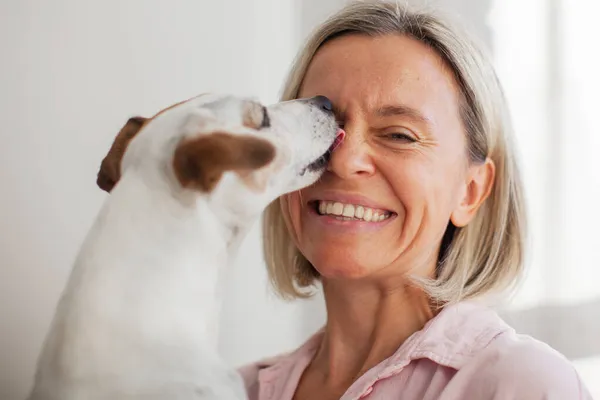 Lycklig Kvinna Leker Med Sin Hund Valpen Slickar Sin Ägare — Stockfoto