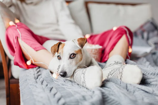 Die Junge Frau Und Ihr Entzückender Hund Sitzen Gemütlich Auf — Stockfoto